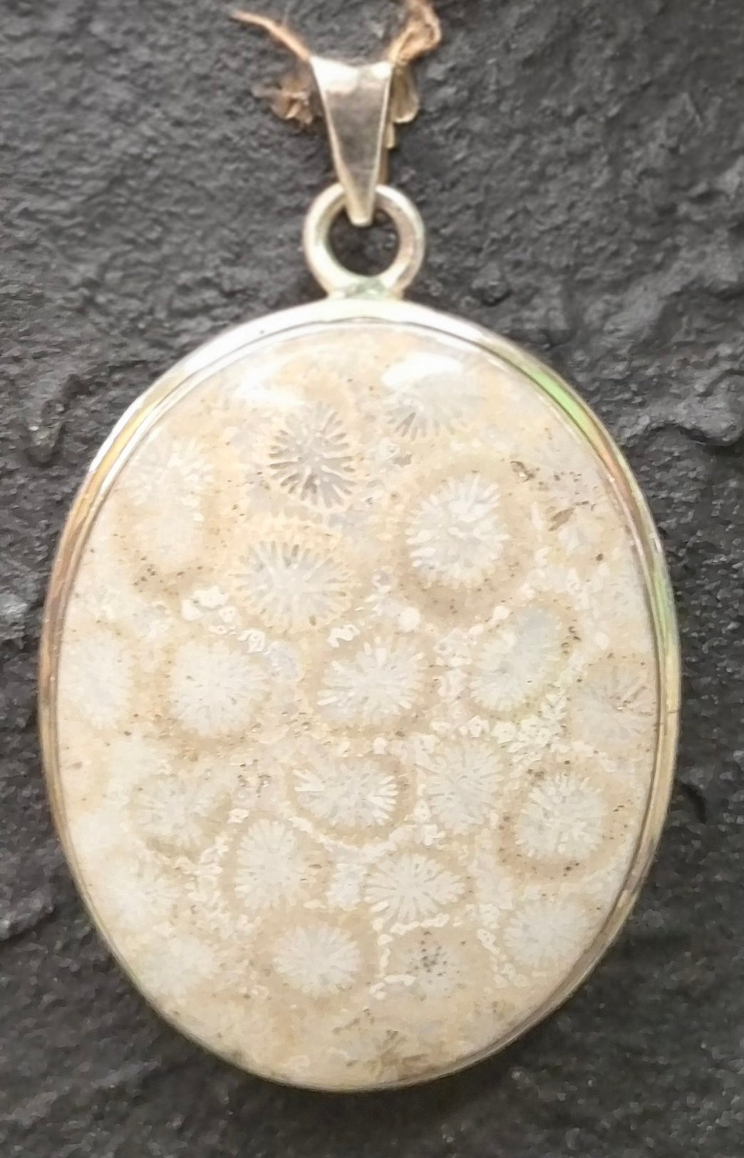 Colgante Coral Fosilizado India · Suelta y Fluye · Plata 925