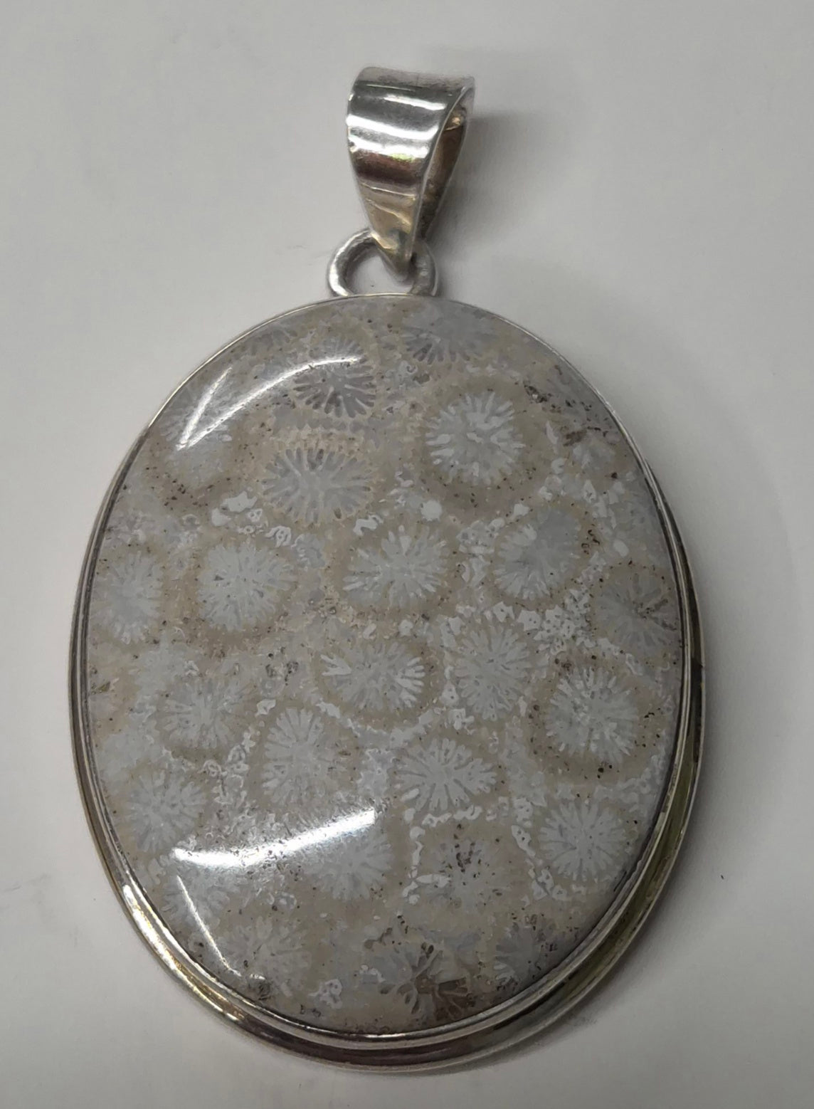 Colgante Coral Fosilizado India · Suelta y Fluye · Plata 925