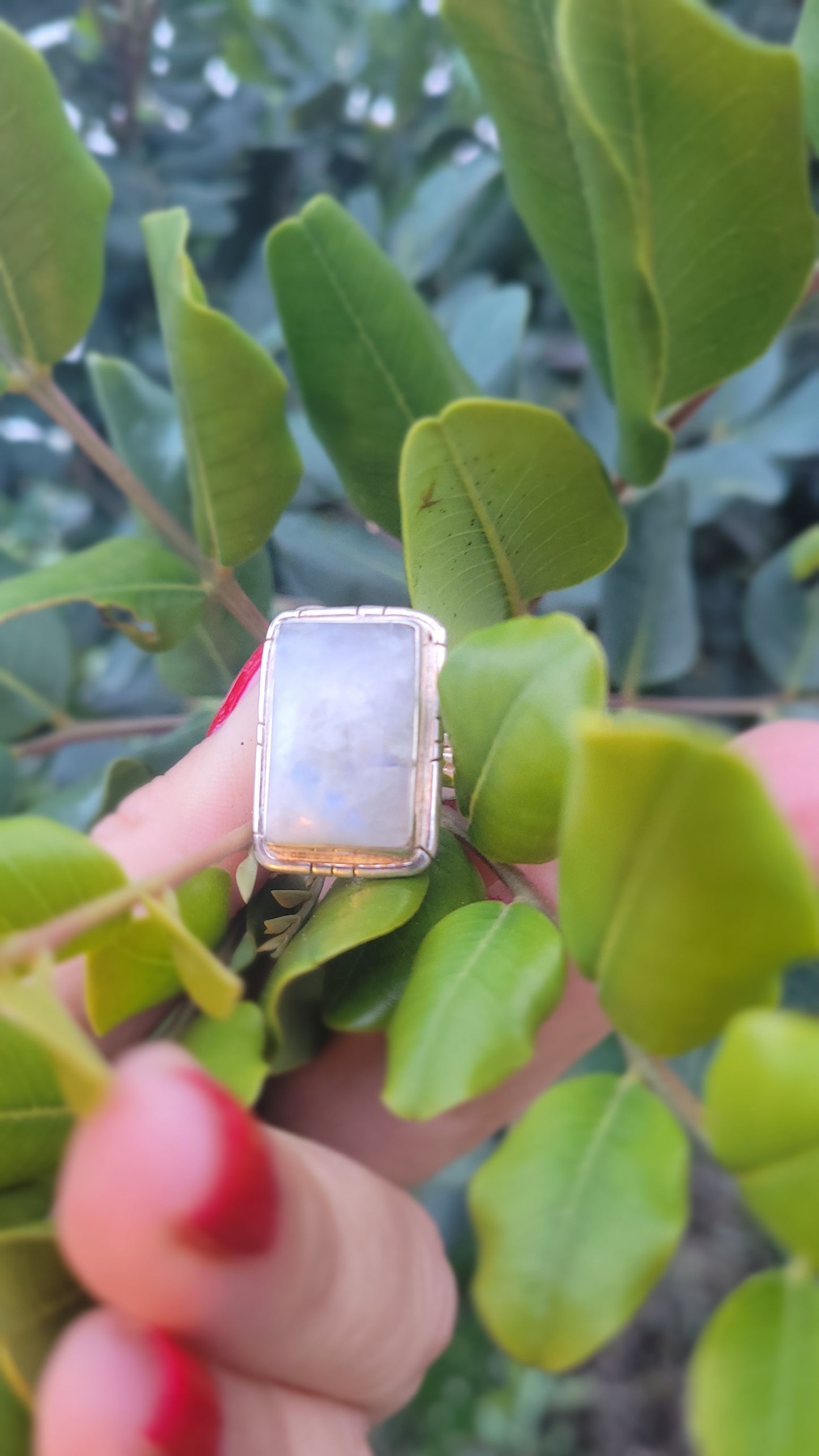 Anillo Lunar – Intuición y energía femenina en Plata 925