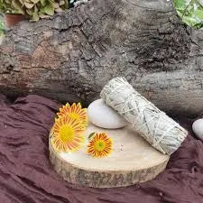 Salvia Blanca – Limpieza Energética y Protección